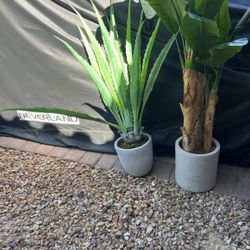 Two Faux plants