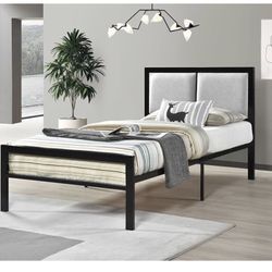 Twin Bed And Mattress 