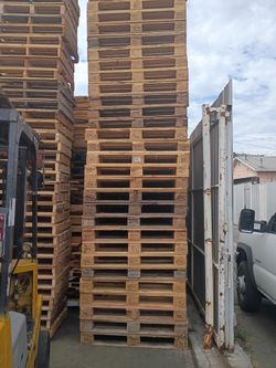 47x 31 Euro pallets