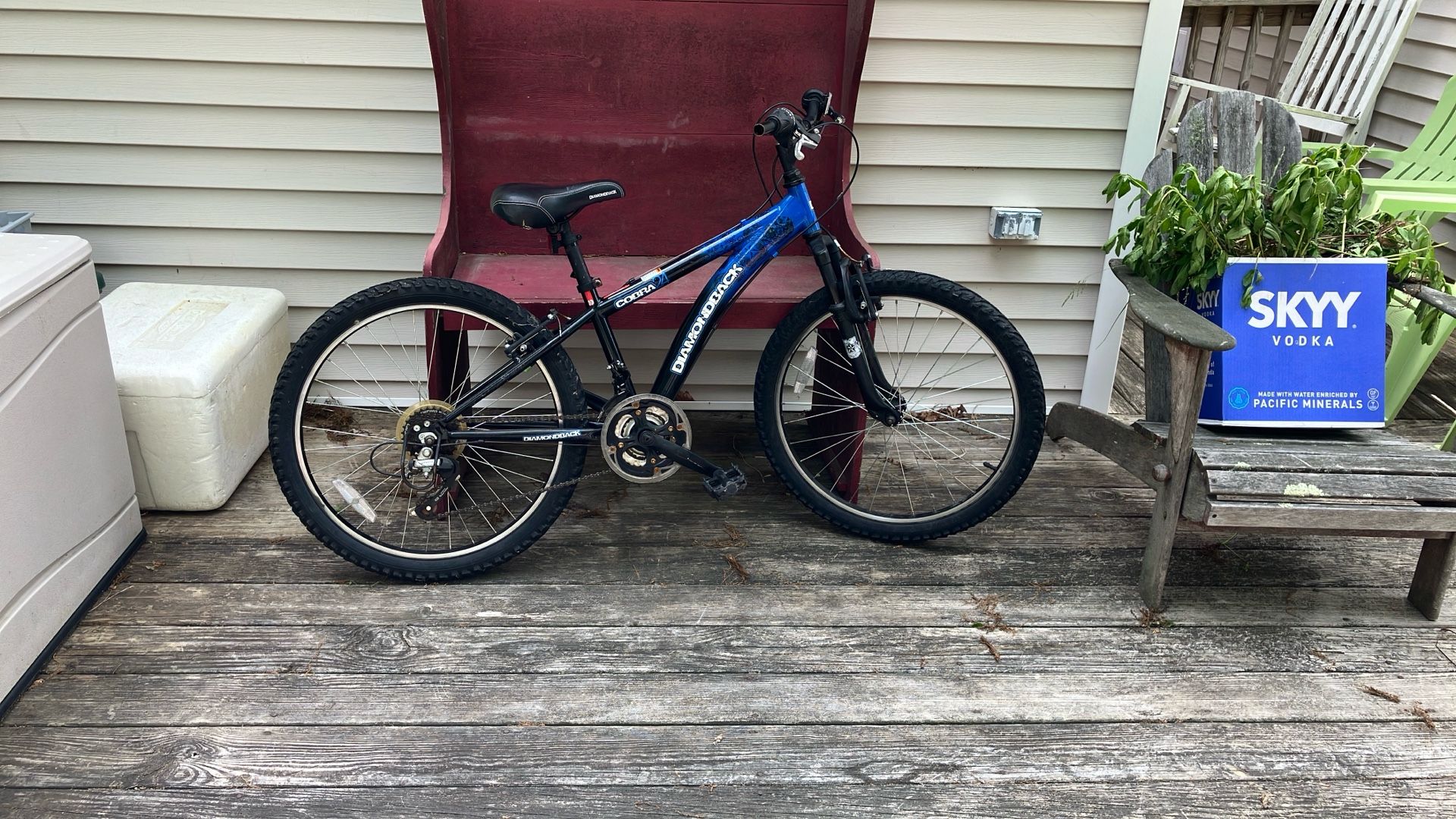 Mountain Bike