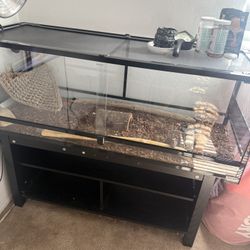 Reptile Glass Cage
