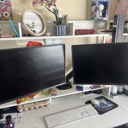 Sceptre 24 Inch Monitor