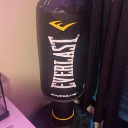 Everlast Boxing Bag