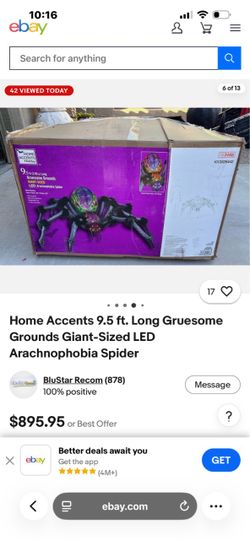 Spider 9.5 foot long