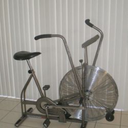Schwinn Airdyne AD3 Exercise Bike 
