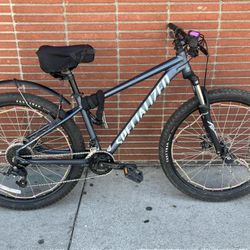Specialized Sport Bike 28 Inch 