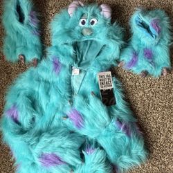 Sulley Costume 