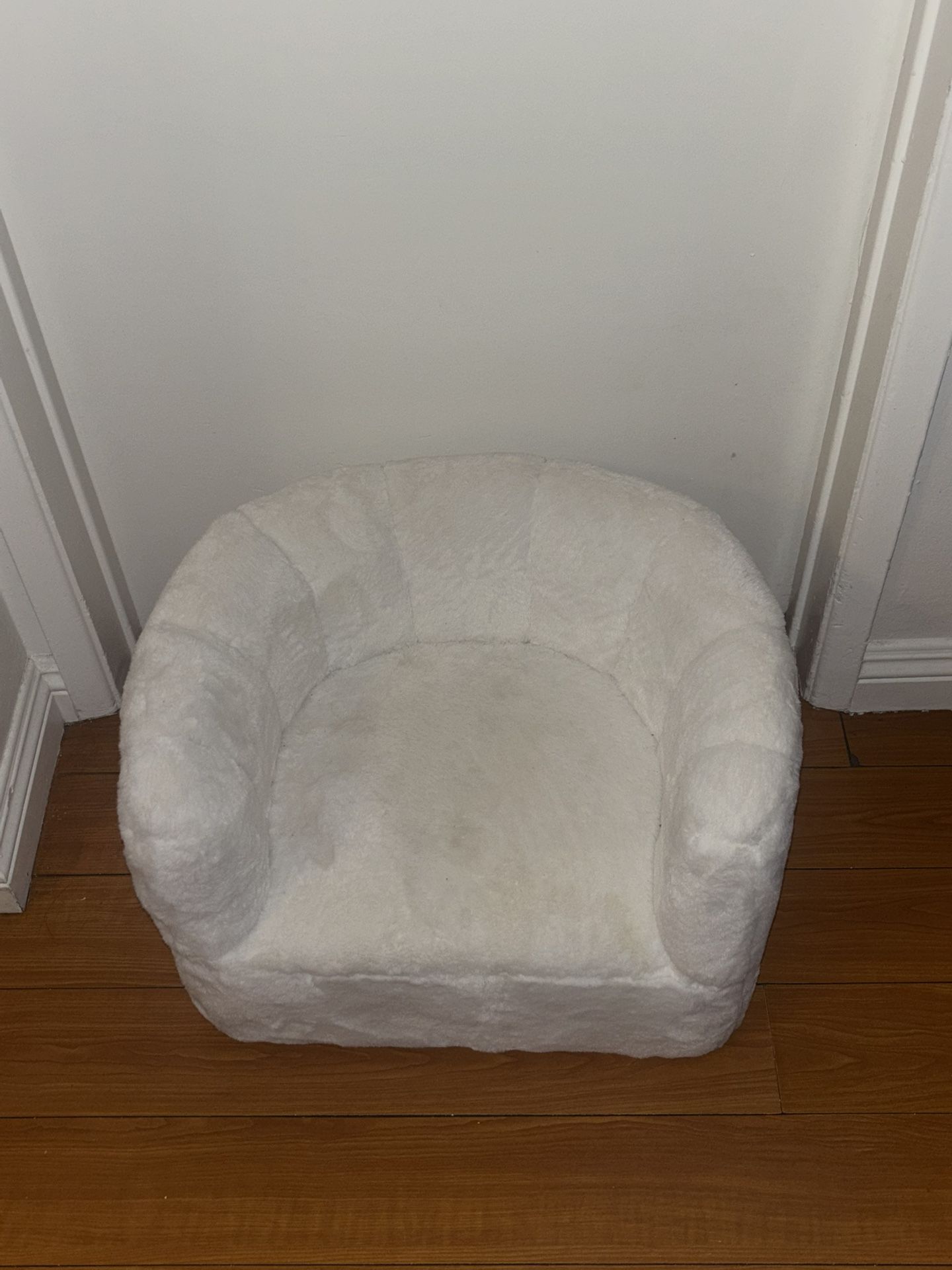 dog bed 