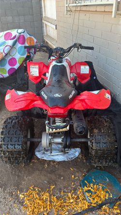 Polaris Youth Quad