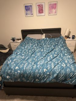 Mattress, Bed Frame With Storage, Box Spring