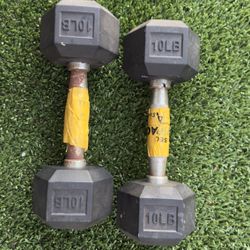 10lbs Dumbbells 