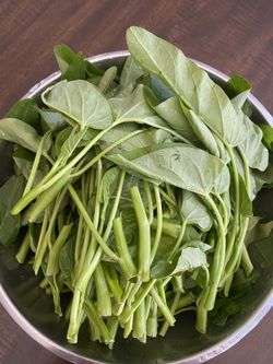 fresh onchoy ( Veggies) (Kangkong Mam)
