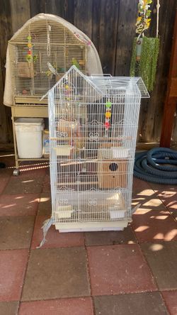 Bird cage