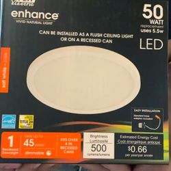Enchance Vivid Natural Light 50 Watt Feit Electric 