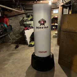 Standing Punching Pad