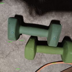 10 Pounds Dumbells 