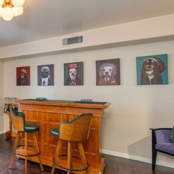 Dog Portraits On Canvas