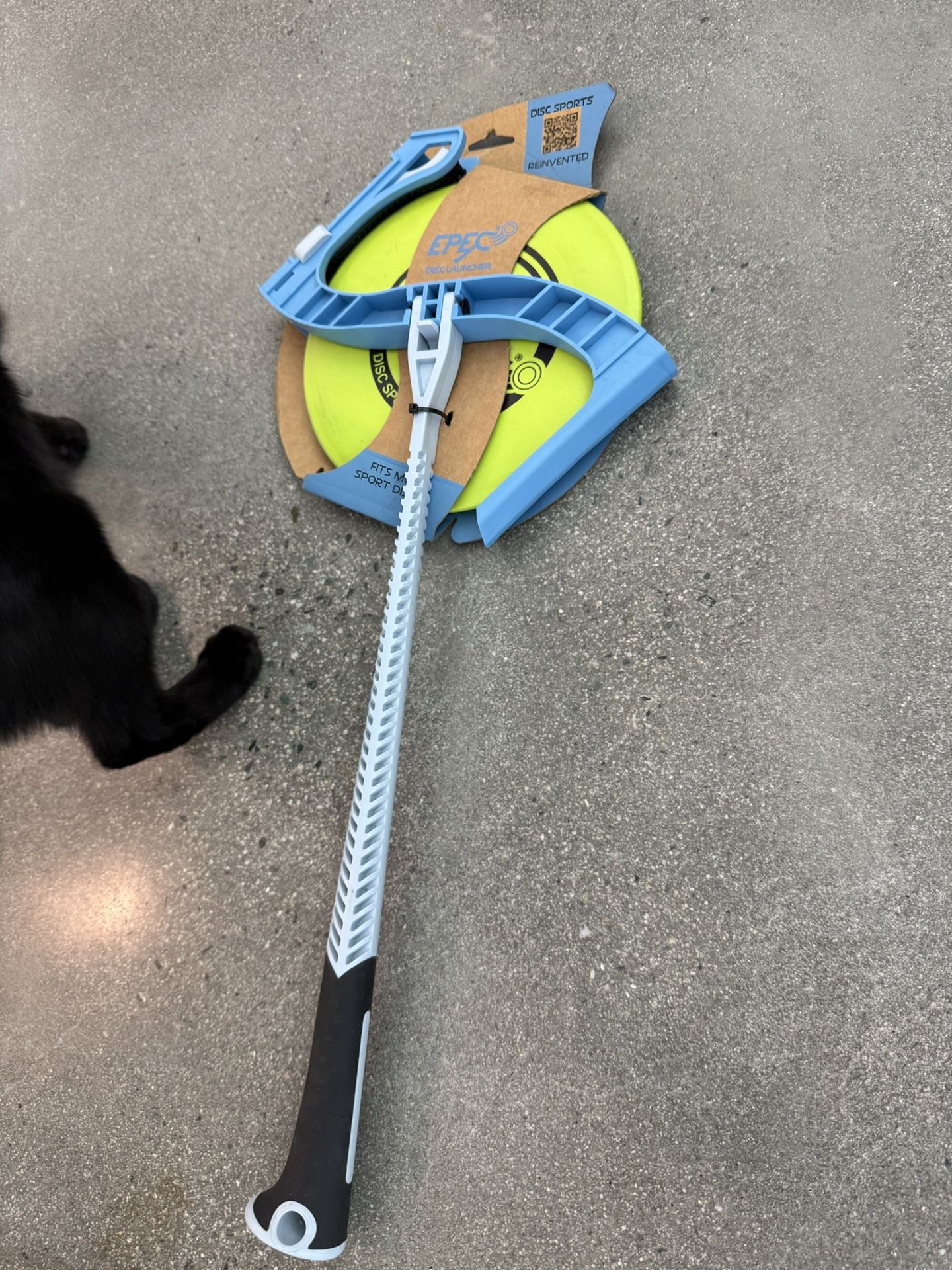 Dog Frisbee