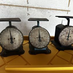Vintage Columbia Family Scale