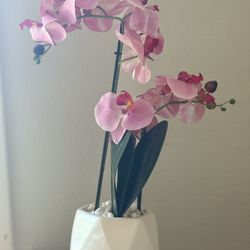 Fake Plant 