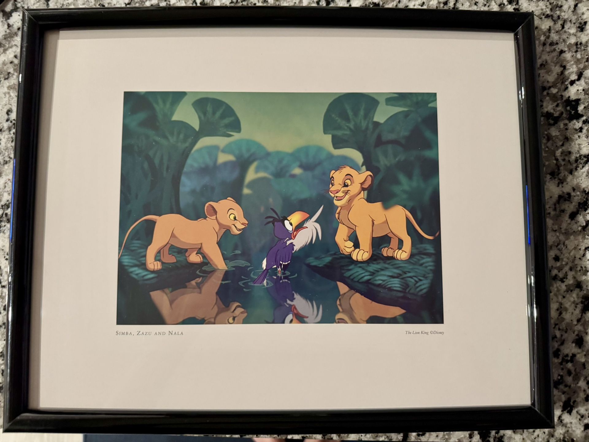 Framed Lion king  Photo
