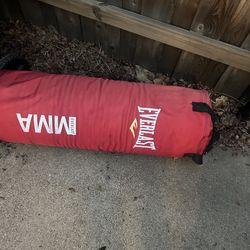 Everlast Punching Bag