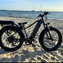 Rift E-bike Electric Biclicleta