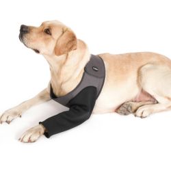 Dog Recovery Sleeve Size: Large 
