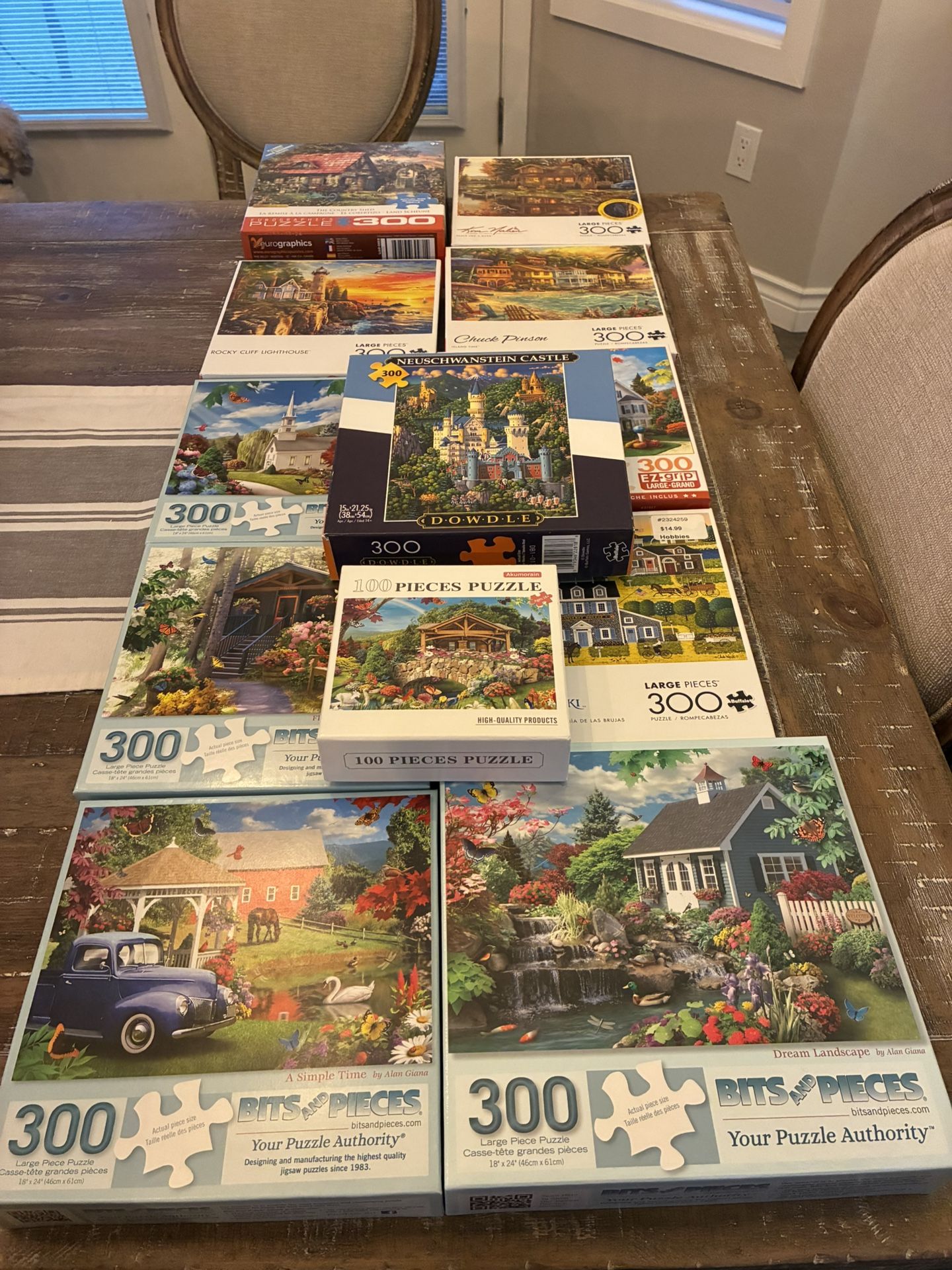 Puzzle Lot