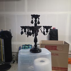 Halloween Gothic Chandler 