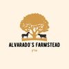 Alvarado's Farmstead 🐓