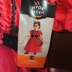Halloween Costume (Ladybug)