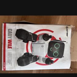 Robot Toy