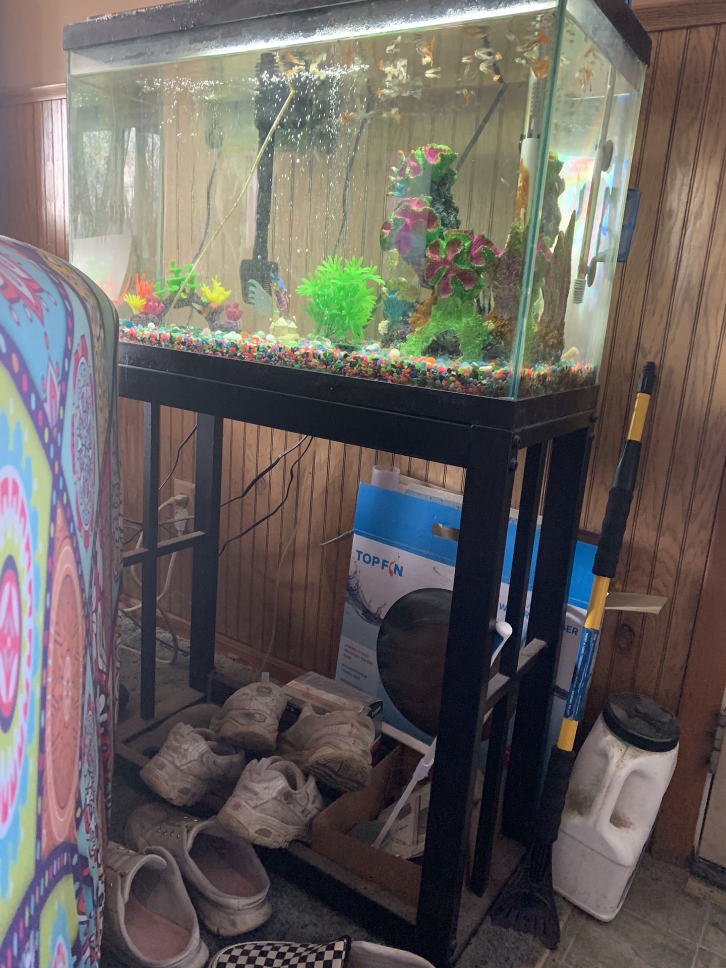 29 Gallon Tank With Lots Of Extras