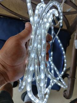 Insulated White Lights