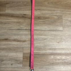 Pink Pet Leash 