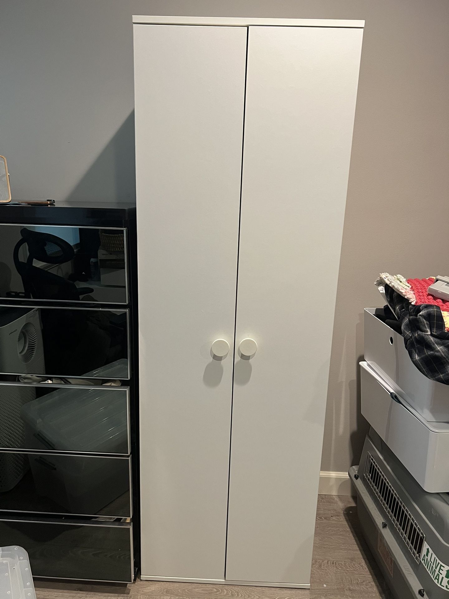 Storage Cabinet with shelves