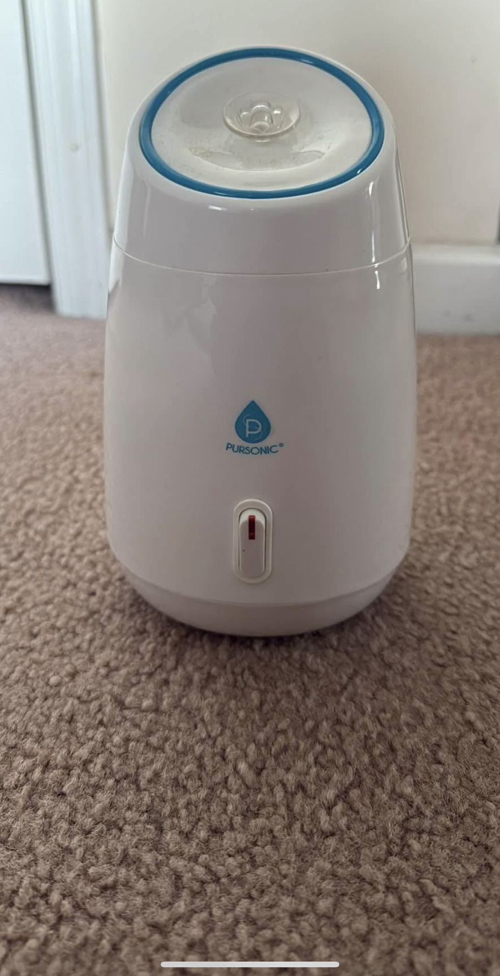 Facial Steamer