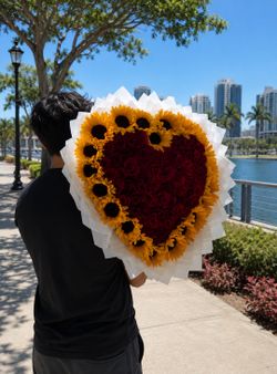 The Soleil Heart