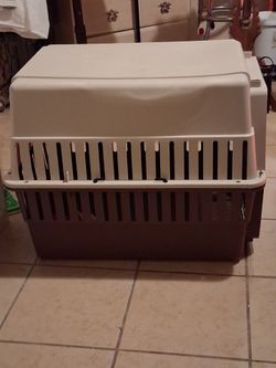 This is a hard sided plastic pet carrier(or pet crate)