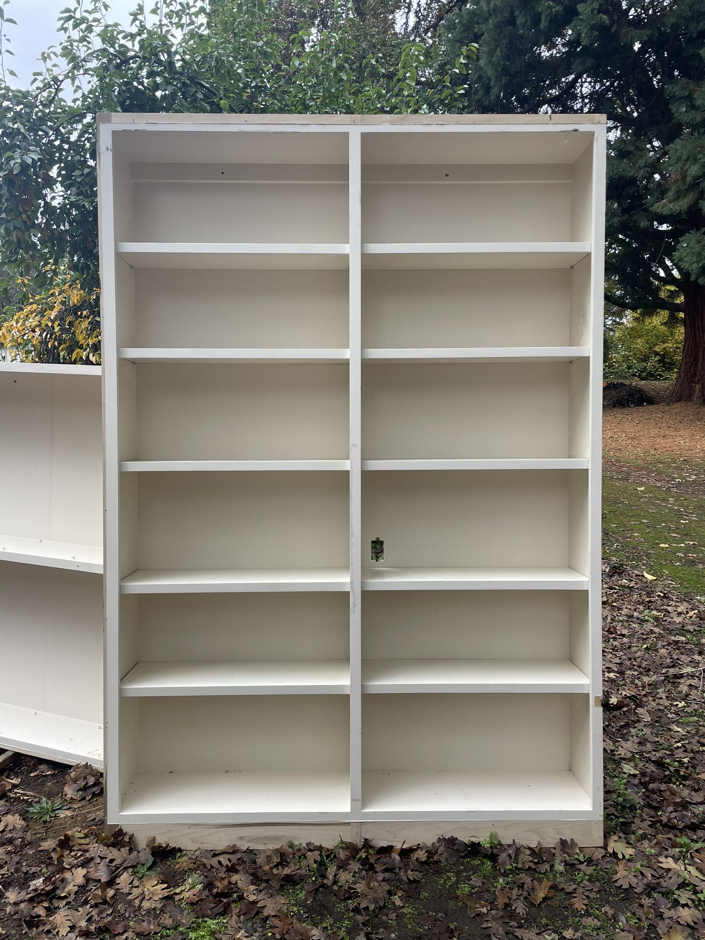 Free Built In Shelves