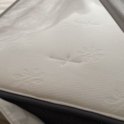 Queen ZINUS INC. Mattress