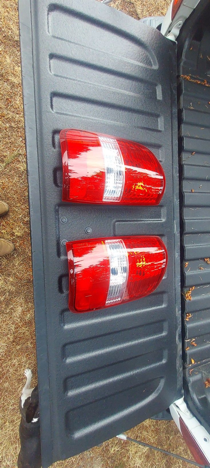 Ford 2004-2008Taillights 