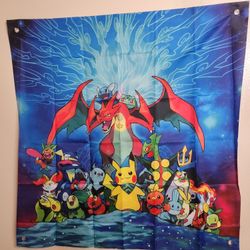 Pokemon backdrop $5 
