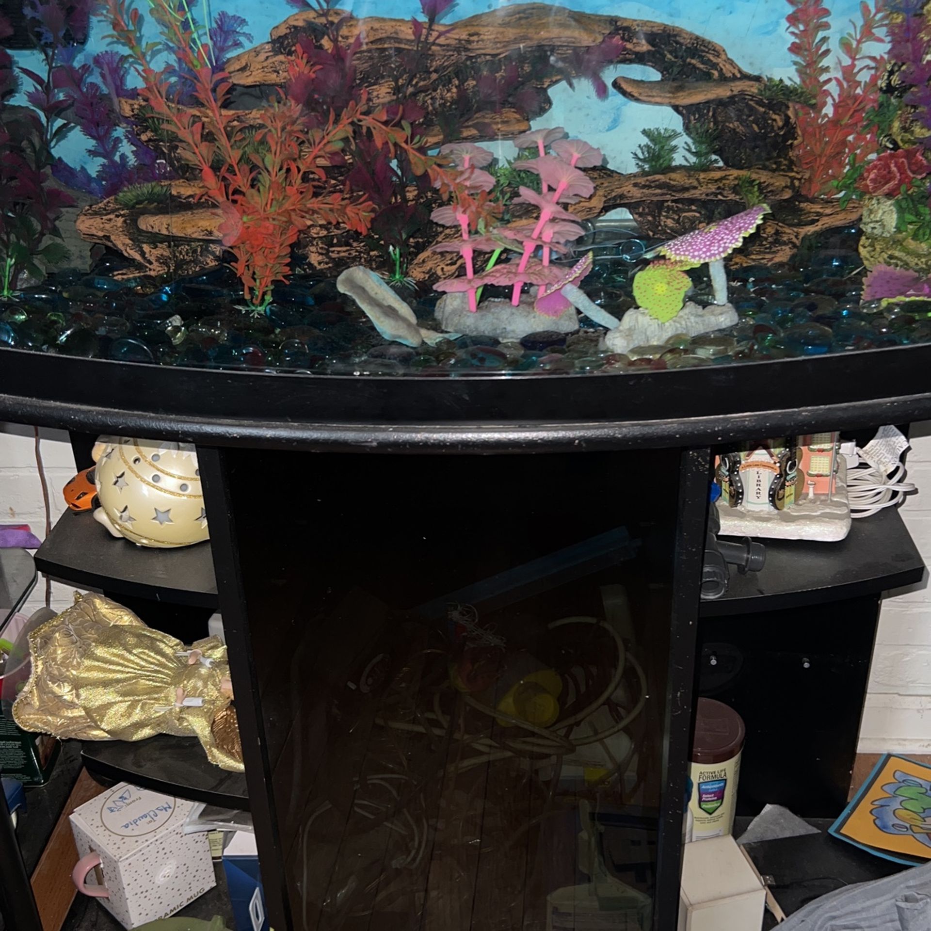 Fish Tank