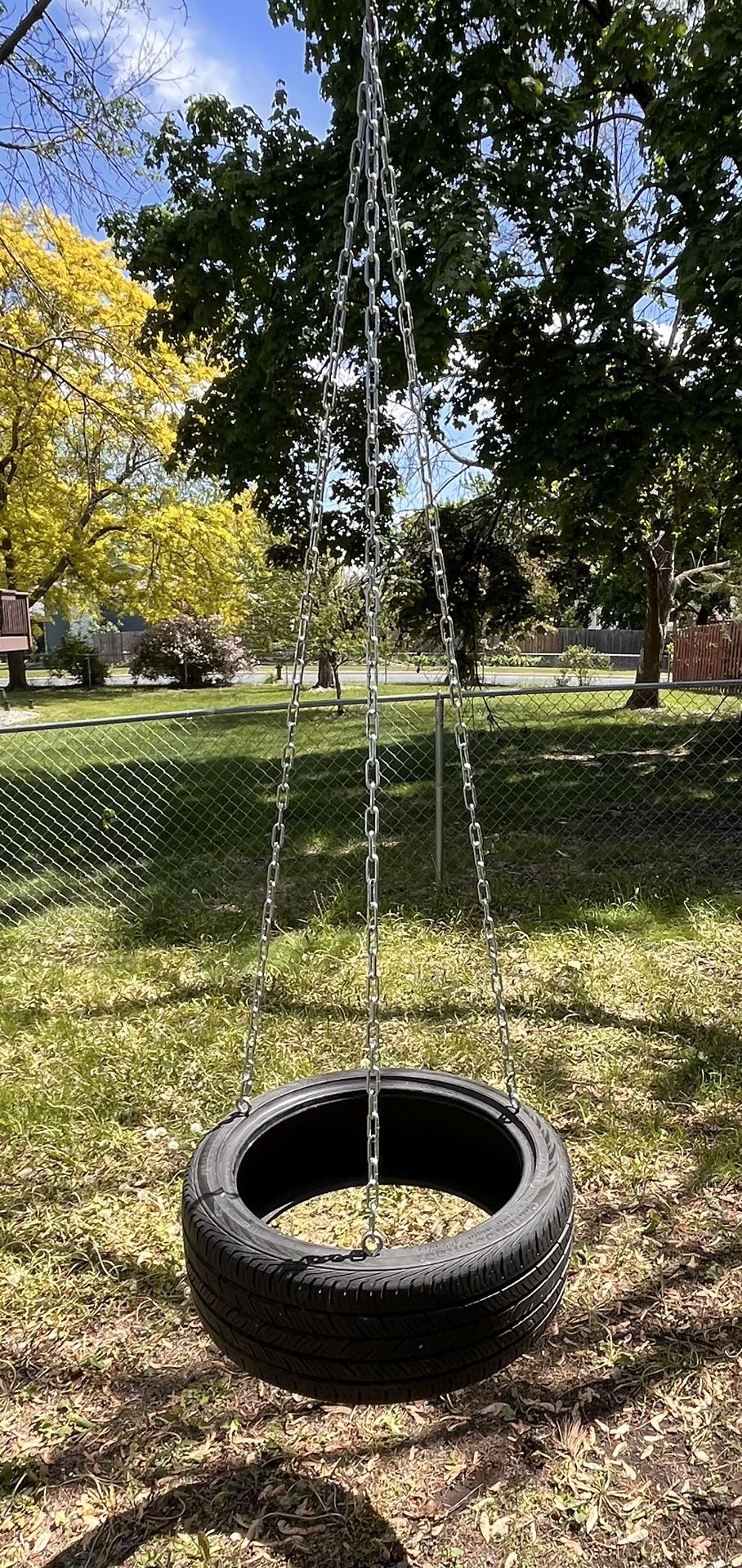 Tire Swing with Chains and Strap