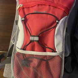 Avalanche Hydration Bag 