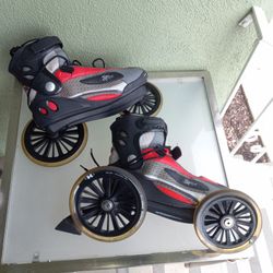 LAND ROLLER OFFLINE SKATES