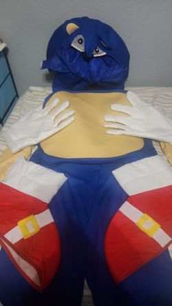 Sonic the hedgehog adult halloween costume