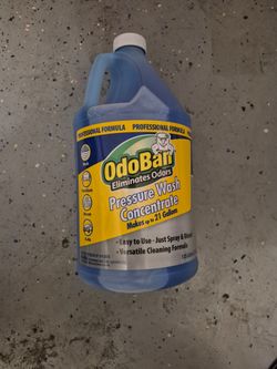 Pressure washer cleaner